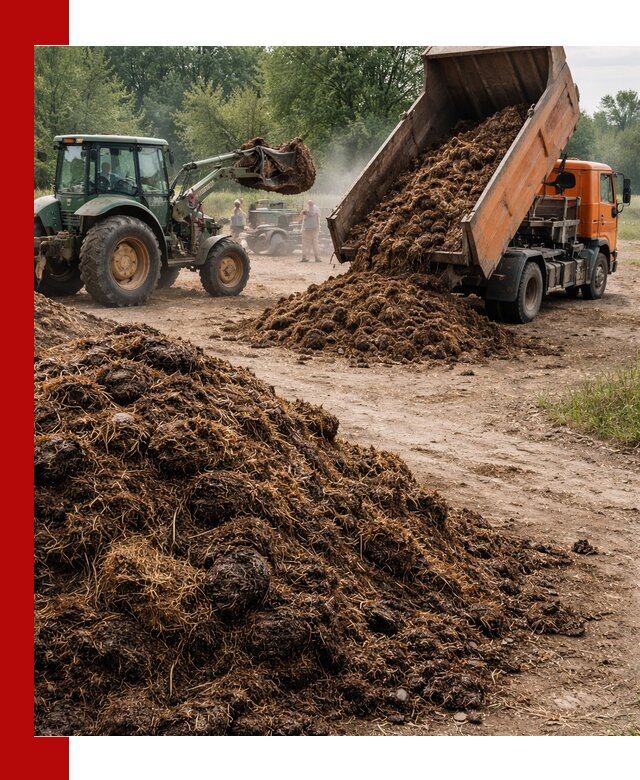 Доставка навоза самосвалами в Симферополе для сельхозпотребностей